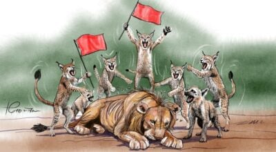 बाघ निकम्मा भएपछि राजनीतिमा वनबिरालाको चुरीफुरी !