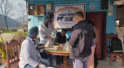 गाईभैँसीमा थुनेलो रोग