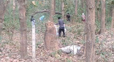 किसानलाई पतिङर सोहोर्ने चटारो