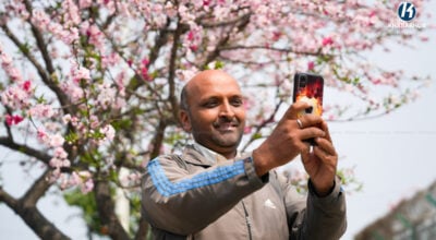काठमाडौँका सडक र पार्कमा चेरीको बैँस: सेल्फी खिच्नेको लर्को