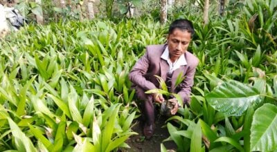 जीवनको तस्बिर बदलेका उद्यमी भीमबहादुर