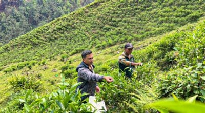 वडाध्यक्षको एउटा जुक्तिले बदलियो गाउँको परिचय