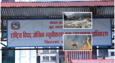 २४ घण्टामा देशभर विपदका ५० घटना, १ जनाको मृत्यु, ४ जना घाइते