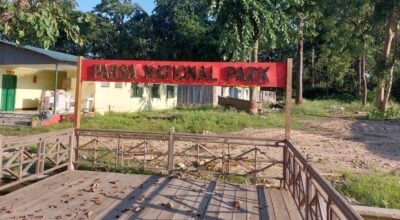 पर्यटकहरुको आकर्षणको केन्द्र बन्दै पर्सा राष्ट्रिय निकुञ्ज