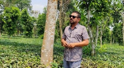 रबिको ‘मिश्रित खेती’मा २७ प्रजातिका नगदेबाली