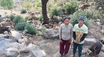 घुम्तीगोठमा बाख्रा पालेर स्वरोजगार र आत्मनिर्भर