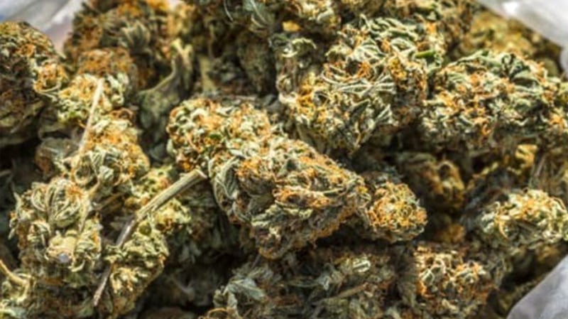 १०९ किलो गाँजा र एउटा कार महोत्तरी प्रहरीको नियन्त्रणमा