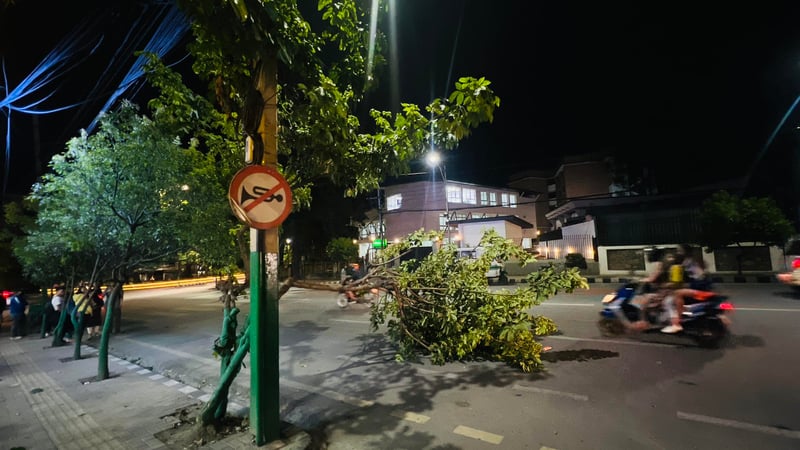 २४ घण्टामा विपद्मा परी तीन जनाको मृत्यु