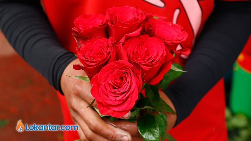 भ्यालेन्टाइन डेमा गुलाबका रङको अर्थ : कुन रङले के सन्देश दिन्छ ?