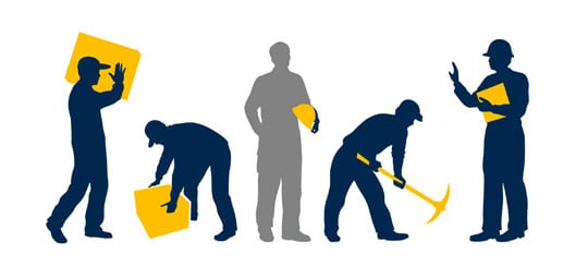 वन कार्यालयले दियो १ लाख जनालाई रोजगारी