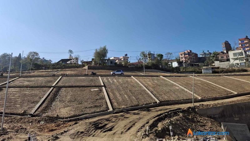 घरजग्गा कारोबारमा लाइसेन्स व्यवस्था अस्थायी रूपमा स्थगित