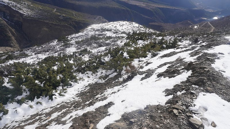 हिमपातले मुस्ताङका किसानलाई राहत