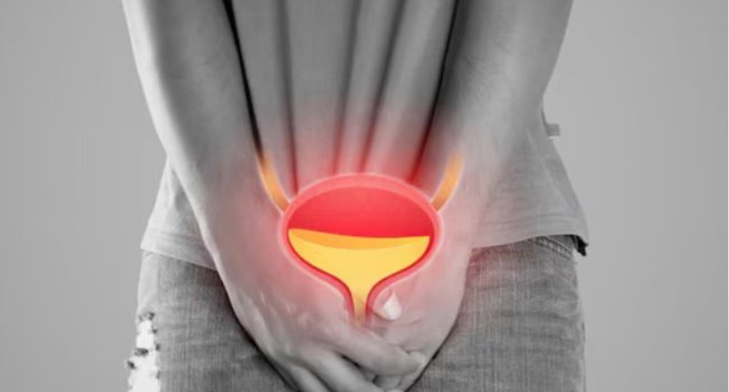 घण्टौंसम्म पिसाब रोक्नुहुन्छ ? शरीरमा पार्छ यस्तो असर