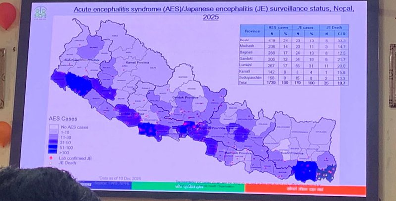 जापानिज इन्सेफ्लाइटिसबाट यस वर्ष ३५ जनाको मृत्यु