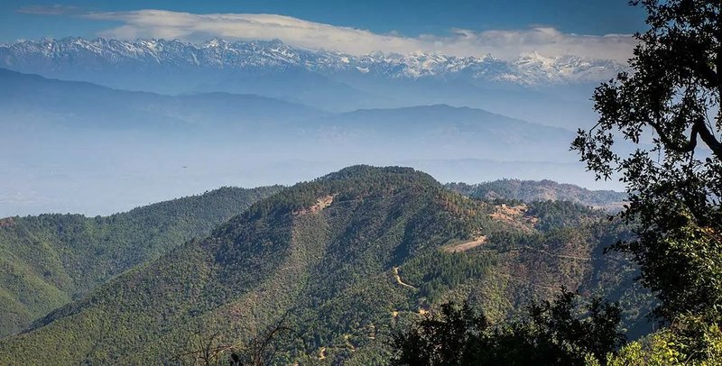 मर्न लागेको भनेर श्रीमान्लाई फोन गरेपछि...