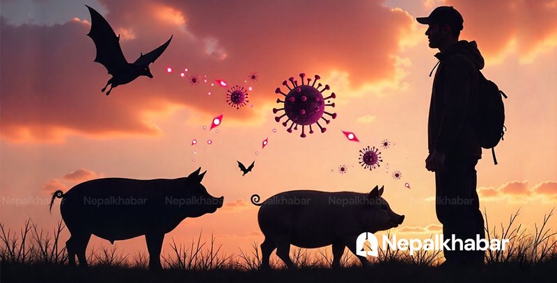 निपा भाइरसको परिक्षण र उपचारका लागि तयारी अवस्थामा रहन देशभरका स्वास्थ्य संस्थालाई निर्देशन