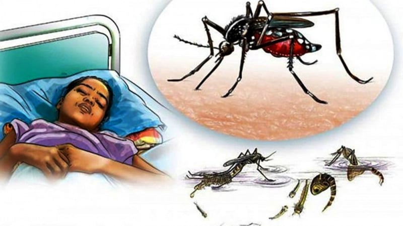सुदूरपश्चिममा डेङ्गुबाट ३ वर्षमा ७ हजारभन्दा बढी प्रभावित