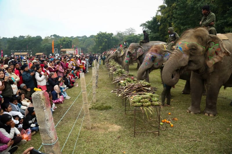 हात्ती महोत्सवः हात्तीलाई १५ परिकारको वनभोज खुवाइयो