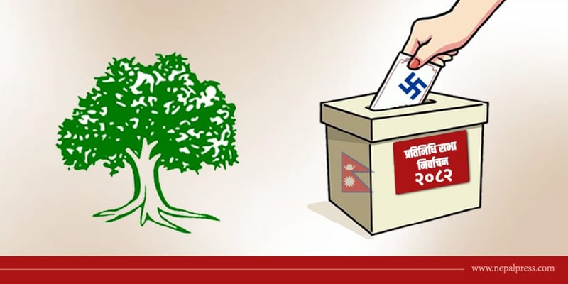 काठमाडौं उपत्यकाका १५ कांग्रेस उम्मेदवारले ल्याए साझा ‘भिजन-१०’ (पूर्णपाठ)