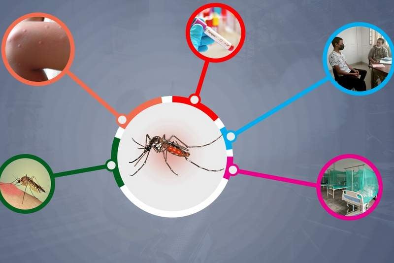 सुदूरपश्चिममा उपेक्षित उष्णप्रदेशीय रोगको संक्रमण बढ्दो
