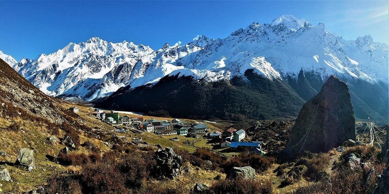 लाङटाङ निकुञ्जका वन्यजन्तुबाट प्रभावित किसानलाई राहत वितरण