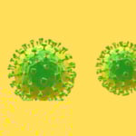 भारतमा निपा भाइरस संक्रमण उच्चदरमा, नेपालमा जोखिम