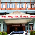 अफ्रिकन स्वाइन फिभरको उच्च जोखिम : किसानलाई सतर्कता अपनाउन मन्त्रालयको आग्रह