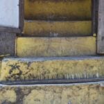 भालुबाट अन्न जोगाउन घरको ढोकामा काँटी ठोकिएको पिर्का !