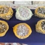 लागूओैषधसहित तीन युवक नियन्त्रणमा