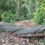 हिजोको गोरेटो आज ‘राउन्ड फेवा भ्यु फेवा’ बन्यो