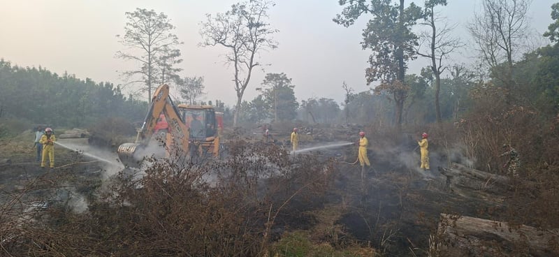 Fire Contained in Rautahat Community Forest After 30 Hours of Efforts