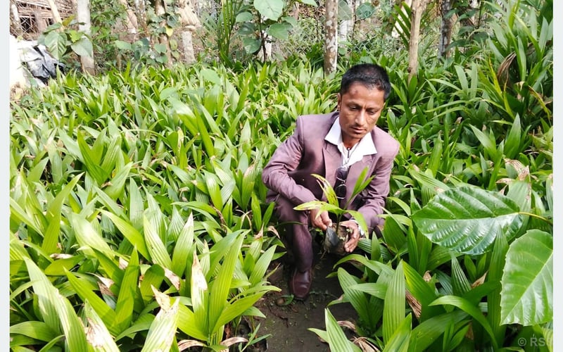 From Daily Wage Laborer to Million-Dollar Entrepreneur: The Inspiring Journey of Bhim Bahadur Bhattarai in Jhapa