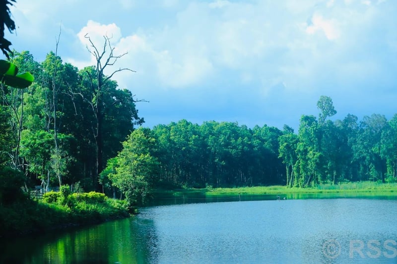 पर्यटकको रोजाइमा वेतना सिमसार