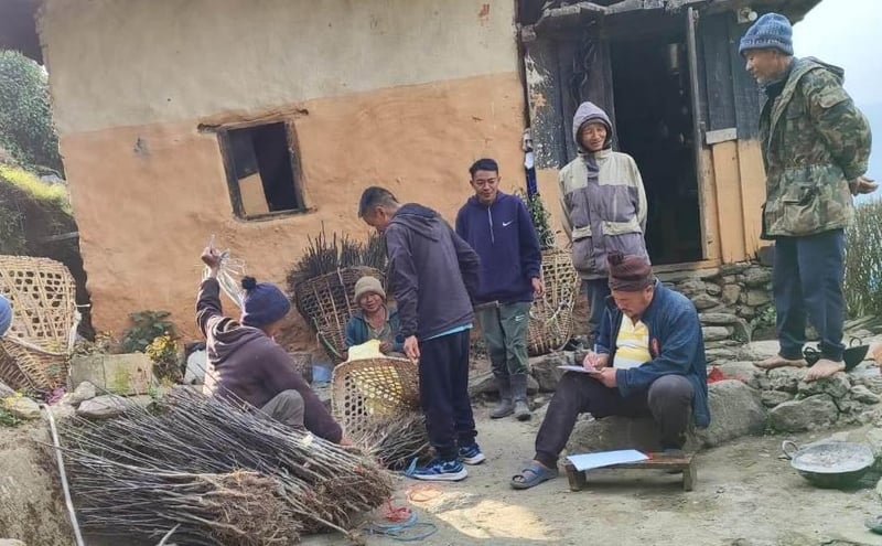 Farmers in Bhojpur Embrace Commercial Apple Cultivation Following Local Government Promotion