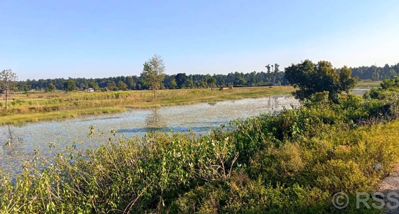 Gadbijula Lake in Kanchanpur Faces Existential Threat Due to Inter-Municipal Boundary Dispute