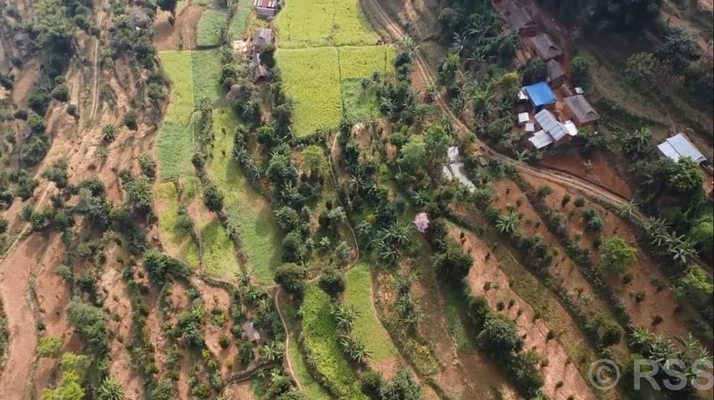 Farmers in Bhojpur's Bhulke Region Shift to Commercial Fruit Farming with Local Support
