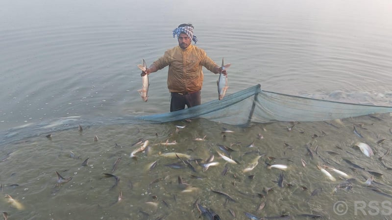Nepali Entrepreneur Finds Success and Satisfaction in Domestic Fish Farming After UAE Experience