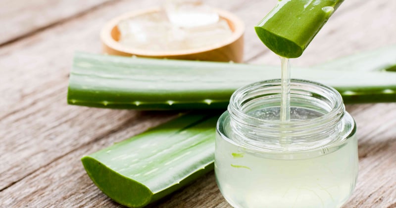 Exploring the Health Benefits and Safe Consumption of Aloe Vera Juice