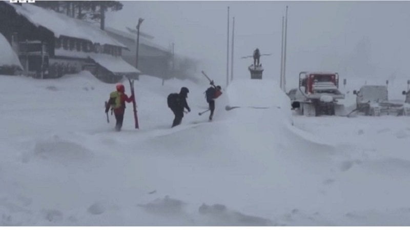 Eight Skiers Confirmed Dead in Massive Avalanche Near Lake Tahoe, California