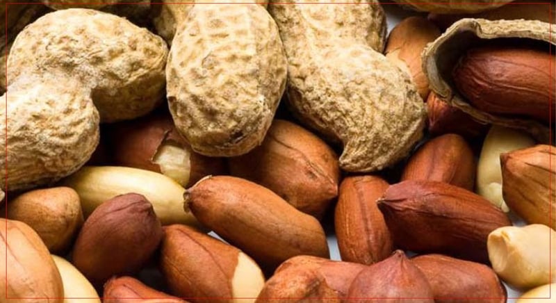 कसले खानु हुँदैन बदाम ?