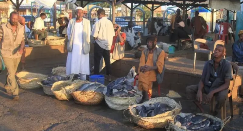 Drone Attack on Crowded Market in Central Sudan Kills 28, Rights Group Reports