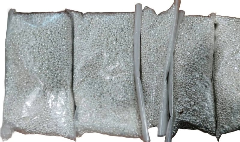 Police Seize Nearly 3 Kg of Silver from Youth at Kathmandu Entry Point