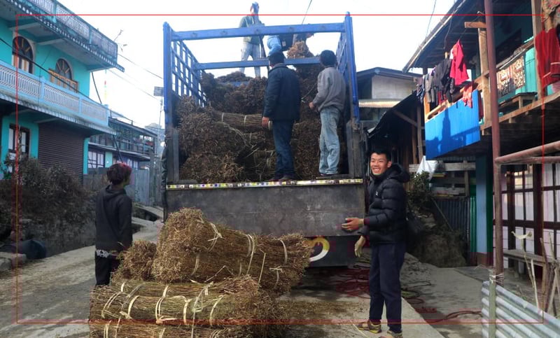 चिराइतो बिक्री नहुँदा किसान चिन्तित