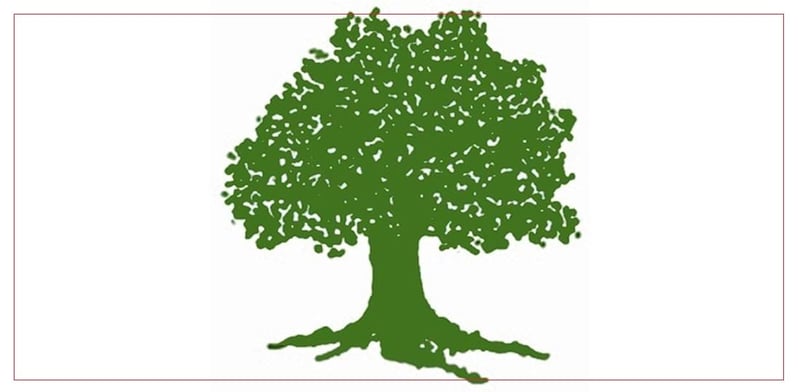 Rupandehi Congress Vice-Chairman Resigns Over Election Defeat