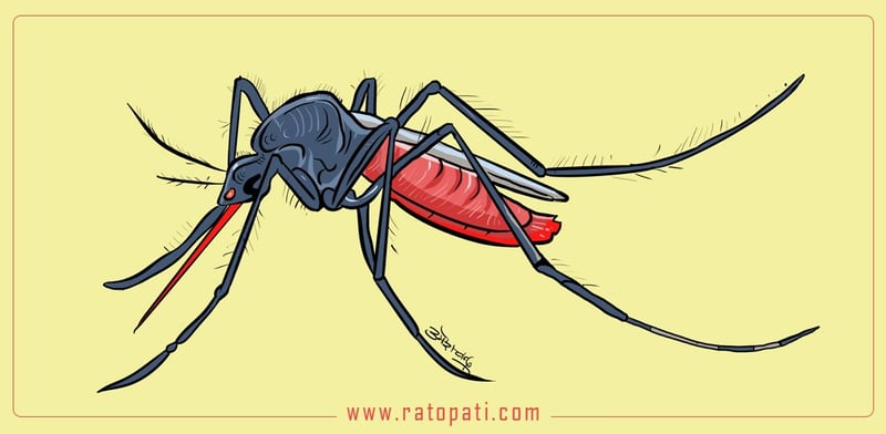 Government Directs Local Levels to Launch Dengue Awareness Campaigns as Heat Rises