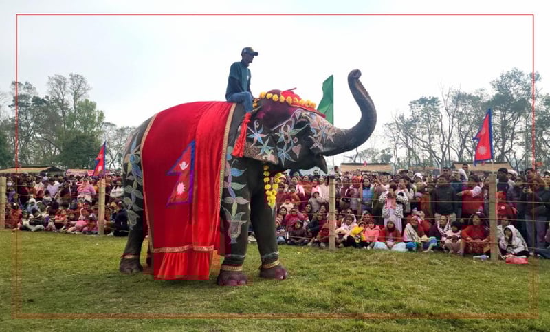 चितवनको पर्याय बन्दै ‘हात्ती तथा पर्यटन महोत्सव’