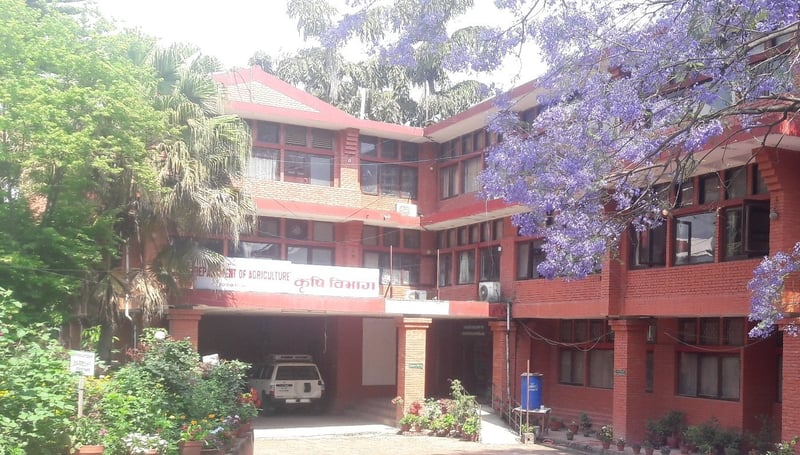 Agriculture Department Begins Study to Set Support Price for Chaitra Paddy