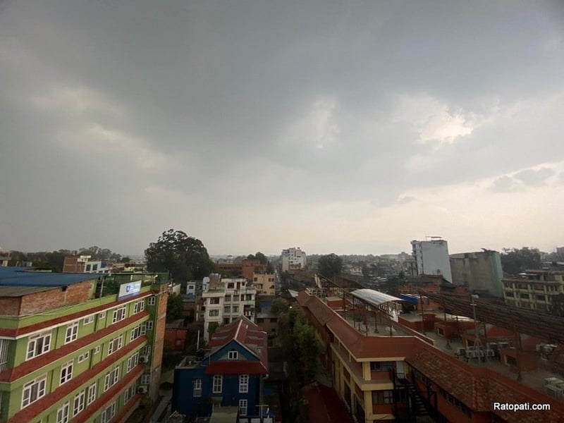 Youth Representation Soars in Parliament Following Recent Elections