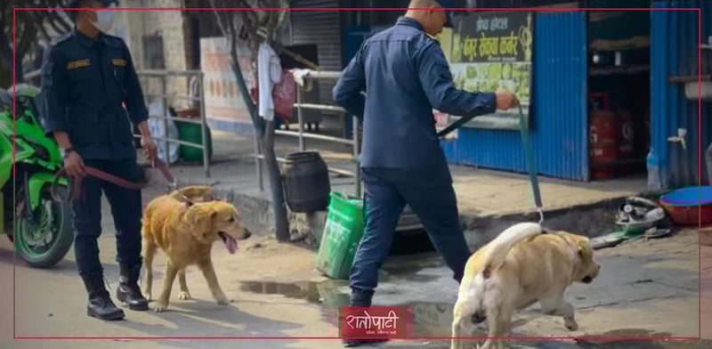 Security Concerns Rise in Jhapa-5 as High-Profile Candidates Face Off Ahead of Elections