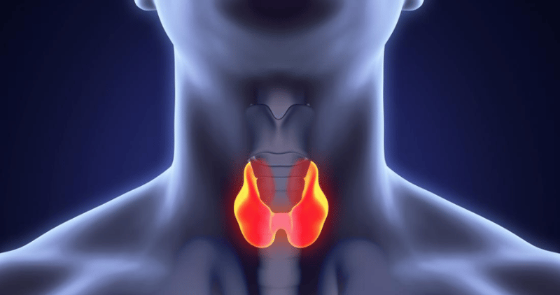 Rising Thyroid Cancer Cases Worldwide: Understanding the Seven Key Early Symptoms